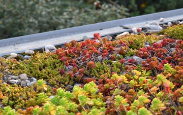 the cost of Upper Aston green roof installation