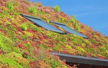 Upper Aston living roof systems